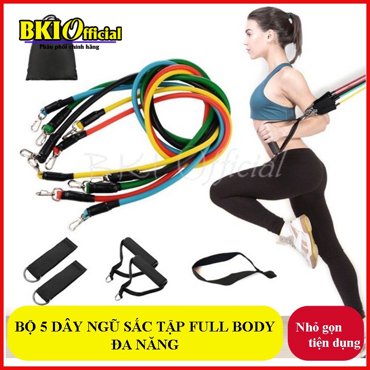 Bộ 5 Dây Ngũ Sắc Tập Full Body - Dụng Cụ Tập Gym - BO5DAYNS