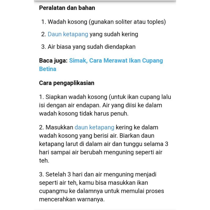 Phụ kiện câu cá chính hãng 100% màu sáng