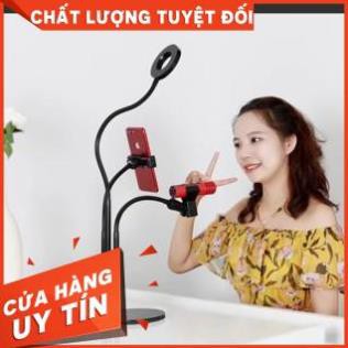 CÂY LIVETRIM CHUYÊN DỤNG-BÁN GIÁ SỈ [SIÊU KHUYẾN MẠI]