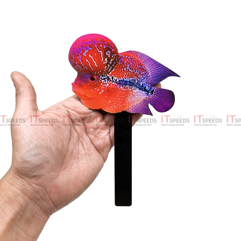 Cây Kè Cá La Hán Bằng Mica, 2 Mặt, Delcan In 3D Sắc Nét, Hỗ Trợ Cá Sung, Giảm Béo, Lên Gù Đầu, Lên Màu, Nhiều Hình