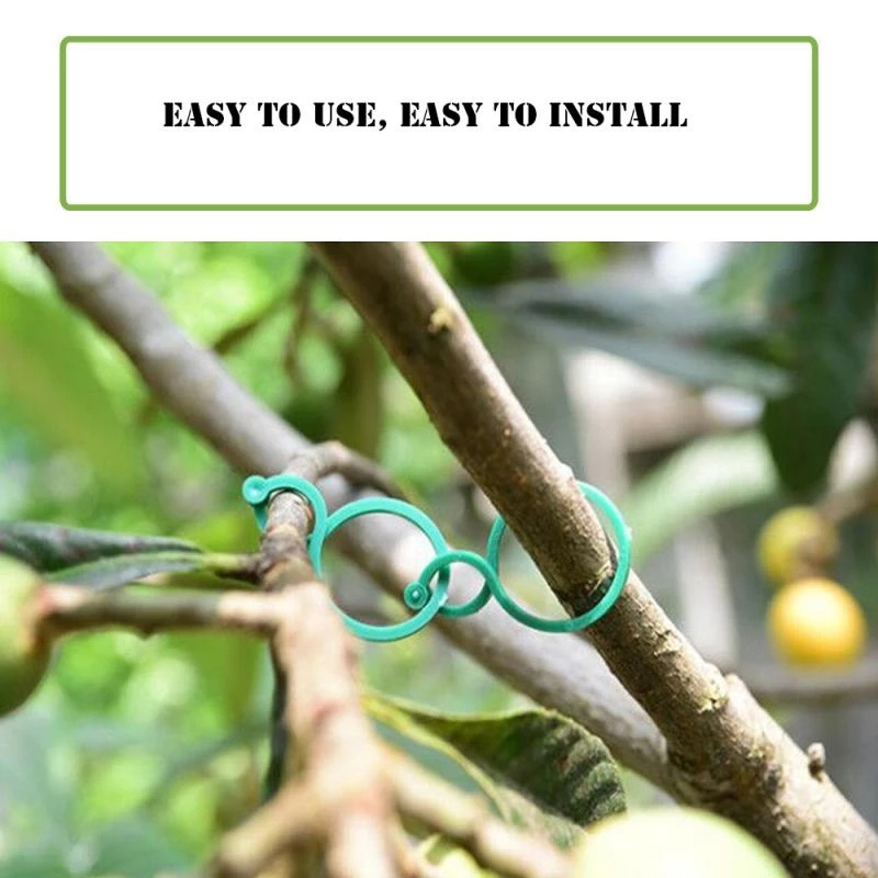 Bộ 50 Kẹp Cố Định Cành Cây