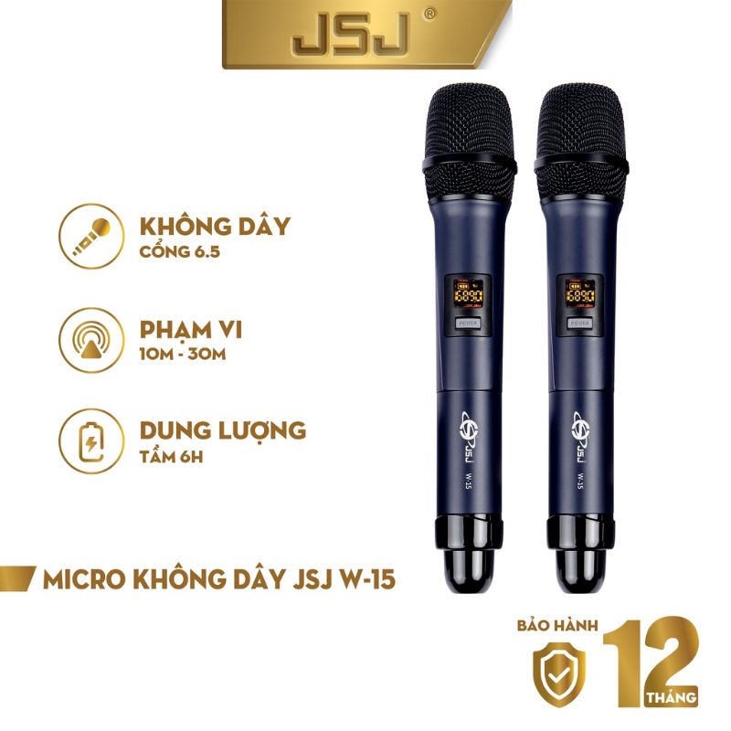 Micro không dây cao cấp JSJ W-15 - Micro Cặp
