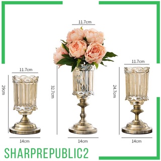 Flower Vase Table Centerpiece Hydroponics Terrarium Flowerpot