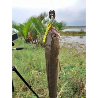 Spiner , Spinner (60k/con) , mồi câu cá