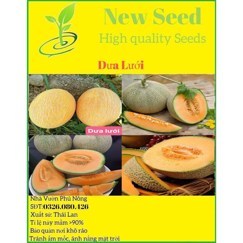 Gói 30 hạt giống dưa lưới ruột vàng quả to siêu dễ trồng chịu nhiệt tốt cam kết chuẩn giống cửa hàng hạt giống uy tín