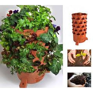 Tháp trồng rau sạch 360 độ (tháp trồng rau thông minh và tiện ích.)