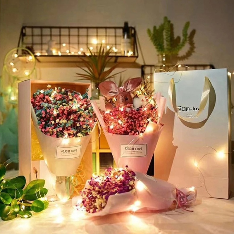 1 / 2M Dây Đèn LED Bằng Đồng Dùng Trang Trí Tiệc Cưới / Sinh Nhật / Năm Mới