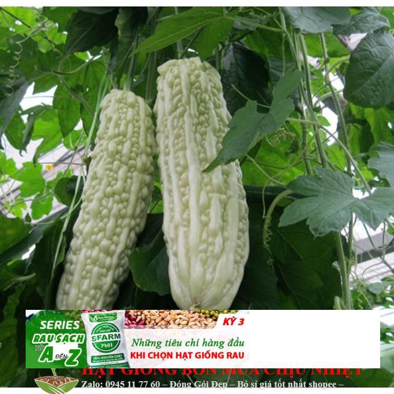 Hạt Giống Mướp Đắng Trắng Đài Loan- 05 hạt