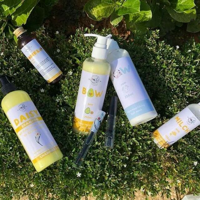 Combo Daisy+ủ bow+gelmicoco nhỏ (kèm quà tặng+lì xì)🎁