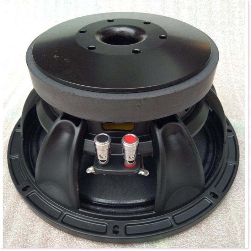 Loa Bass 25 NR Từ 170 Coil 75.5mm Cao Cấp.Giá 1 chiếc.