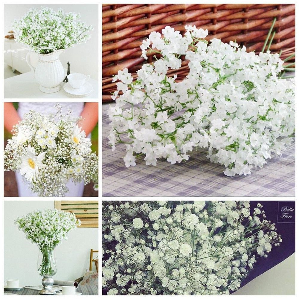 1 nhánh hoa Gypsophila nhân tạo bằng nhựa màu trắng thoáng khí trang trí nhà cửa/khách sạn/tiệc cưới