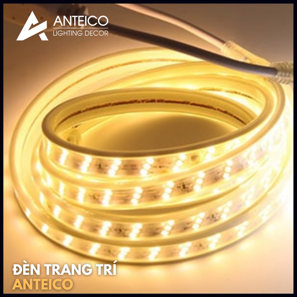 Led dây siêu sáng siêu bền cuộn 3 hàng lõi đồng xin đèn chip 2835 ánh sáng vàng / trắng giá 1m Anteico Lighting