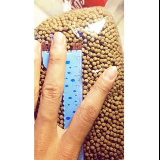 Cám koi kích đỏ 1kg