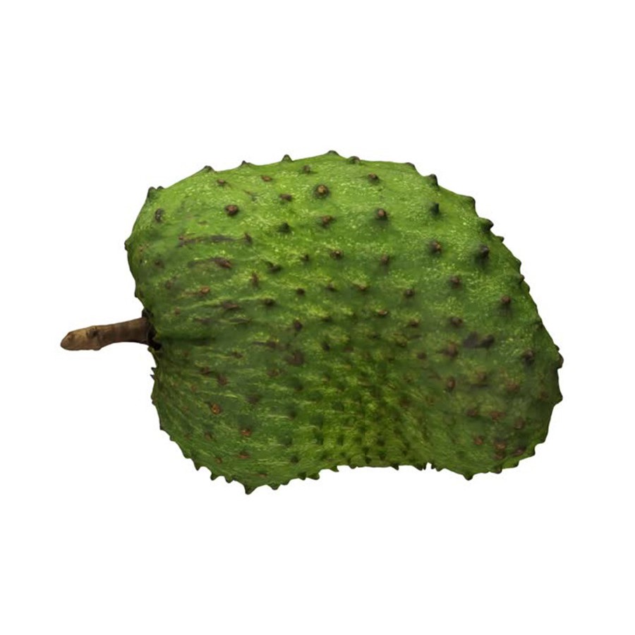 Hạt giống mãng cầu gai thuần cao sản
