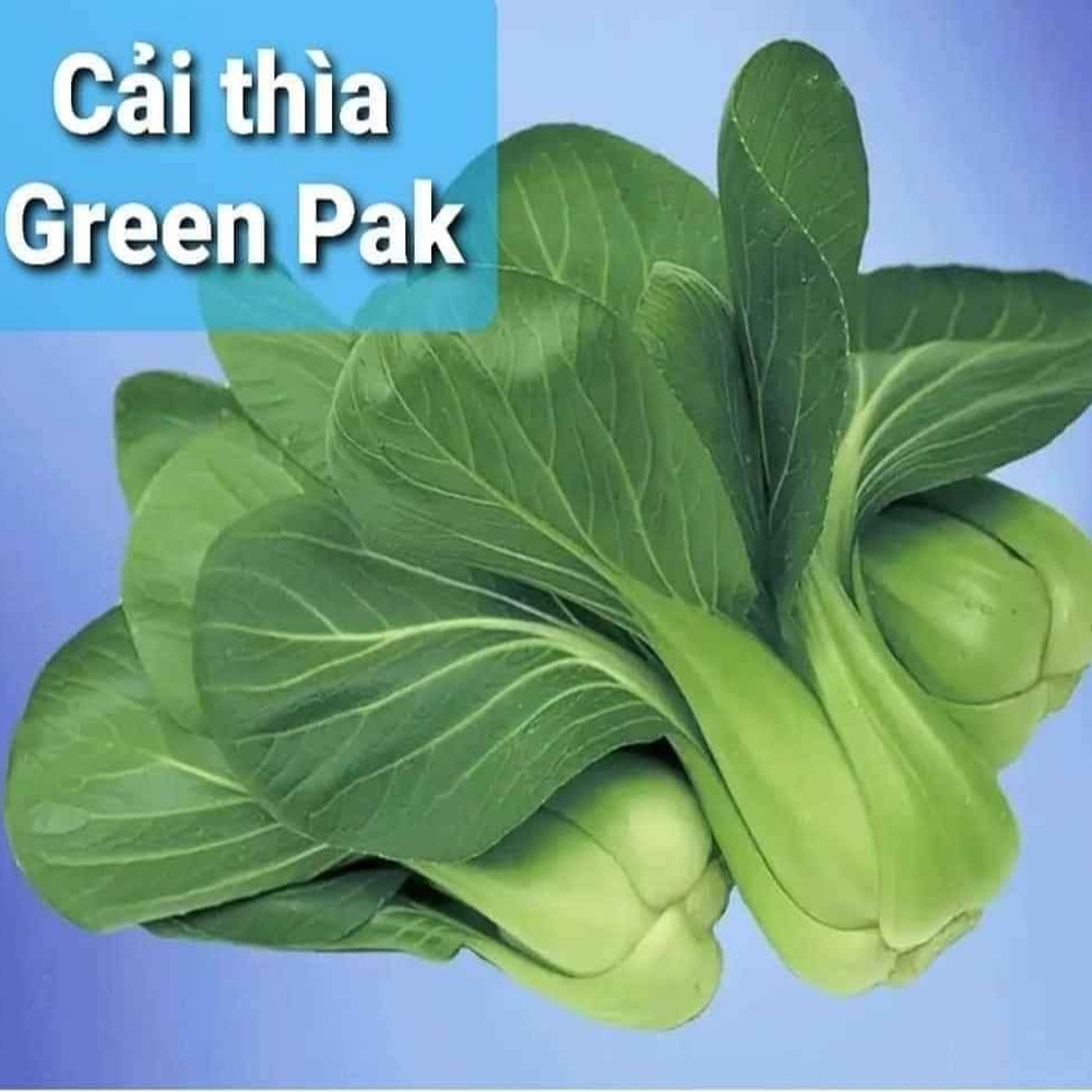 Hạt giống cải thìa Green Pak Choy chịu nhiệt nhập Mỹ - Johnny's Seeds