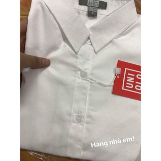 áo sơ mi công sở nữ