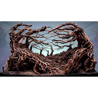 Rễ Rừng Xoắn Cứng ghép layout rừng, bonsai cho bể thuỷ sinh (200g)