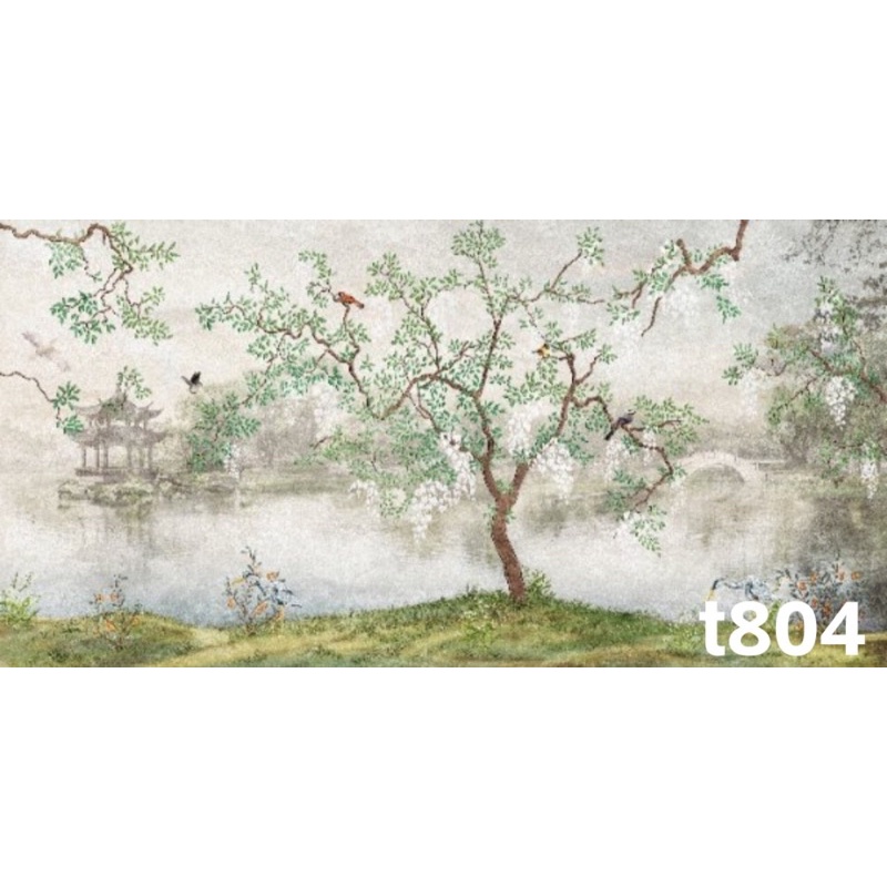 Phông nền chụp ảnh mã T804