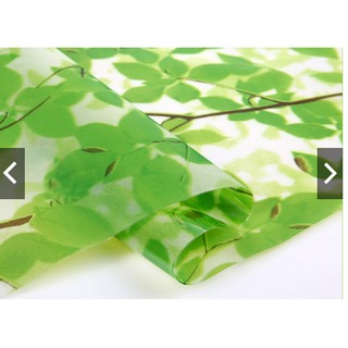 Decal giấy dán kính rừng xanh