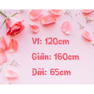 áo thun thái bigsize hình chuột