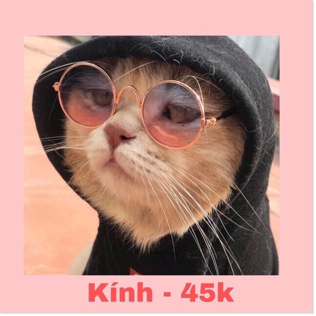 [Mã giảm giá] Kính thời trang cho cún miu - Loại 1 - Đẹp và tốt 🥇 số 1 Shopee