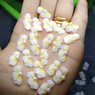 Hoa bột nail - cúc ruby