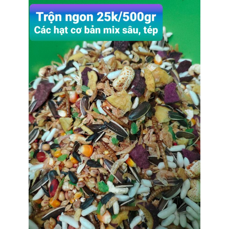 Thức ăn trộn loại ngon