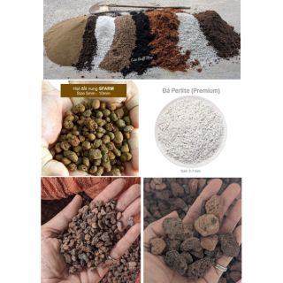Đất trồng sen đá viên đất nung đá perlite đá nham thạch