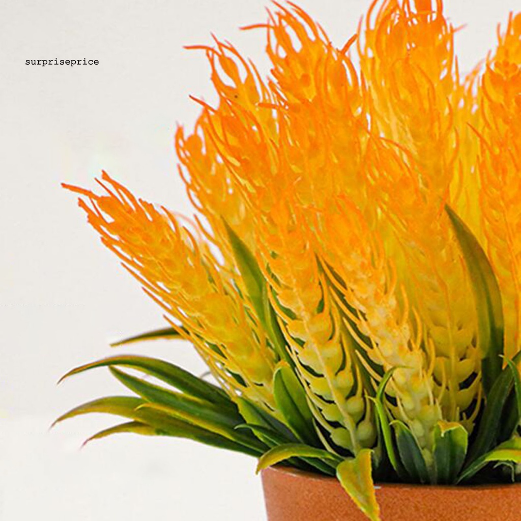 Chậu Cây Lúa Mì Nhân Tạo 6 Màu Độc Đáo Trang Trí Nhà Cửa / SPA