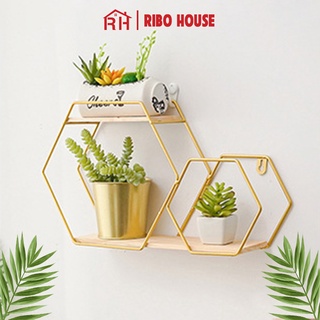 Kệ decor lục giác RIBO HOUSE khung kim loại pha gỗ treo tường trang trí nhà cửa, để đồ siêu xinh RIBO171