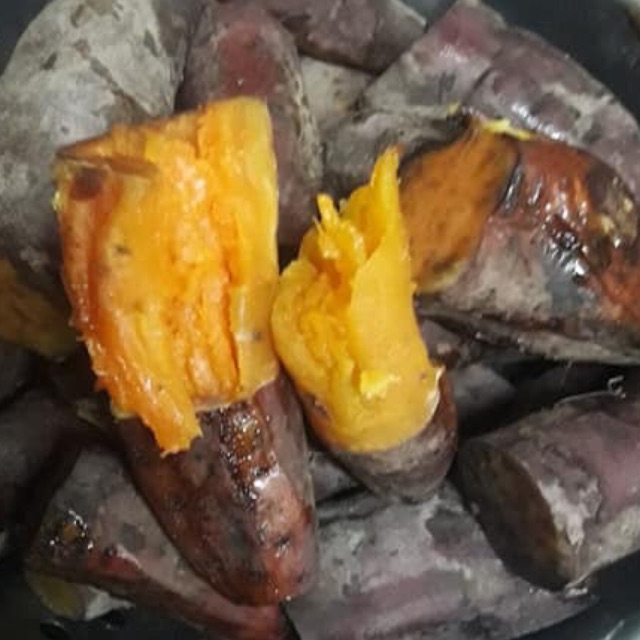 Khoai lang Nhật củ to