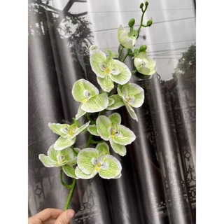 Cành lan hồ điệp 9 bông - hoa vải