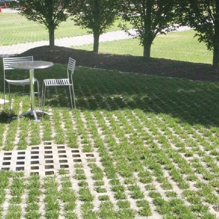 Thuốc diệt côn trùng CYPUSA 100EC 100ml sử dụng an toàn, hiệu quả