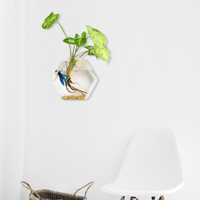 Bình Hoa Thủy Tinh Trong Suốt Hình Lục Giác Treo Tường Trang Trí Nội Thất DIY