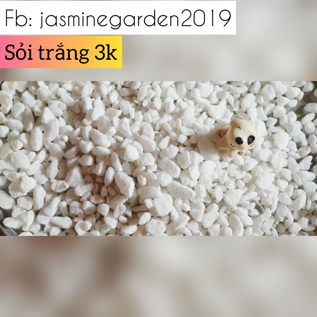 Sỏi trang trí 200gr - 500gr [Trắng, 3 màu]
