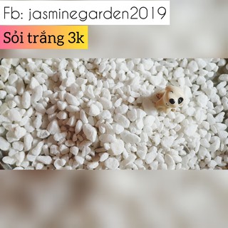 Sỏi trang trí 200gr - 500gr [Trắng, 3 màu]