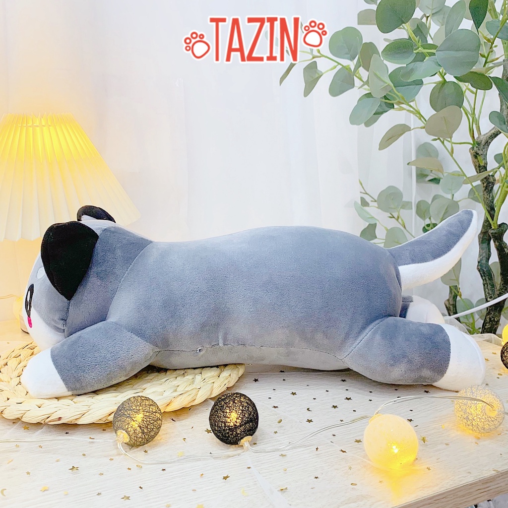Gấu bông mèo mắt tròn mini cute, gối ôm nhồi bông mèo mắt tròn nhỏ xinh cho bé cao cấp Tazin