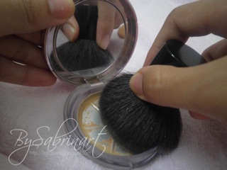 Cọ sigma F45