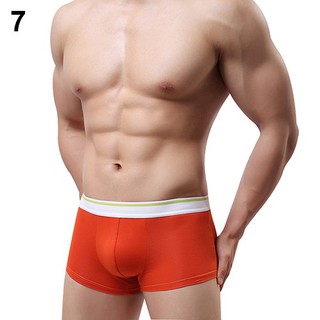 Quần lót boxer cho nam