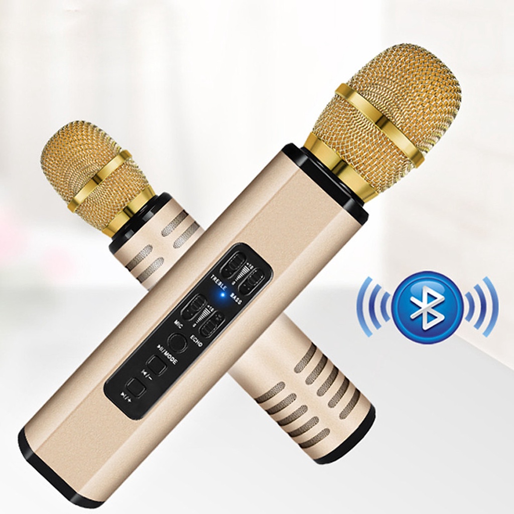Micro Karaoke Không Dây PKCB204 kết nối bluetooth, thẻ nhớ - Hàng Chính Hãng