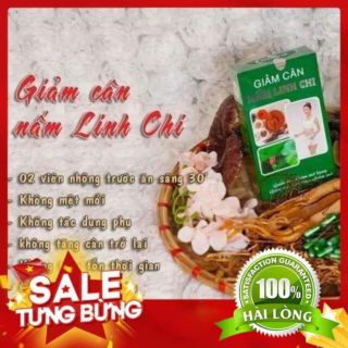[Chính hãng]Giảm cân nấm linh chi hồng minh