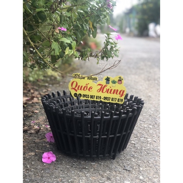 Chậu trồng Lan nhựa giả gỗ