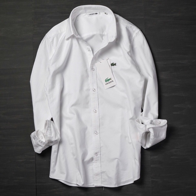 Sơ mi lacoste