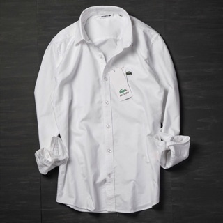 Sơ mi lacoste
