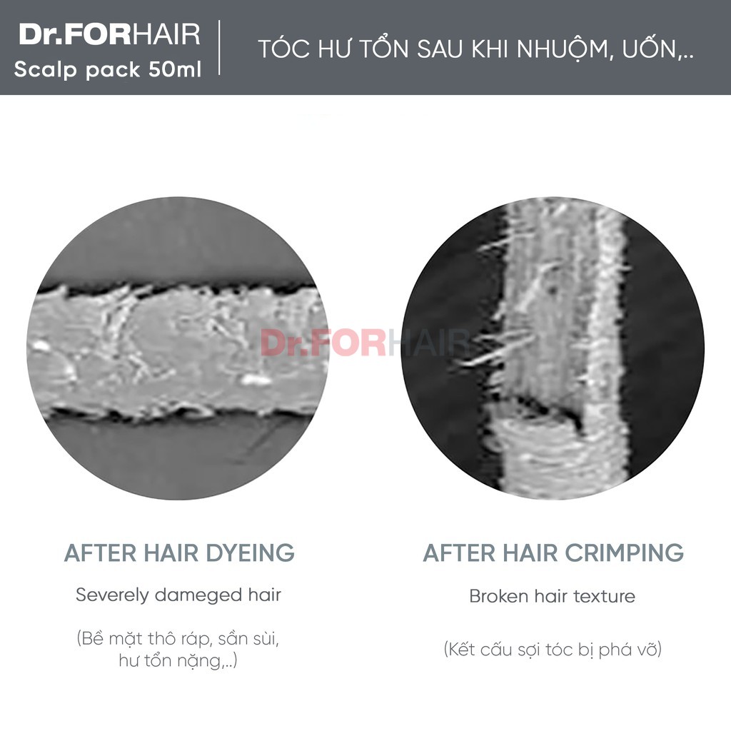 Dầu xả dưỡng tóc suôn mượt Dr.FORHAIR /Dr For Hair Folligen Scalp Pack 50ml