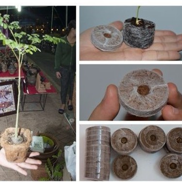Viên nén ươm hạt xơ dừa - viên nén ươm hạt - 10 viên -DC