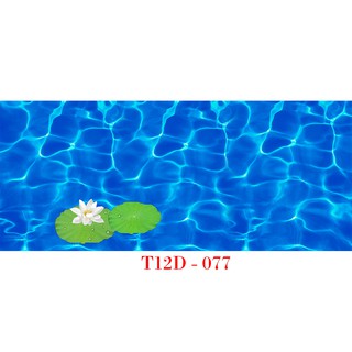 Tranh 3D bể cá mã T12D-077 kt (60,80,90,100,1m2,1m5,1m6)