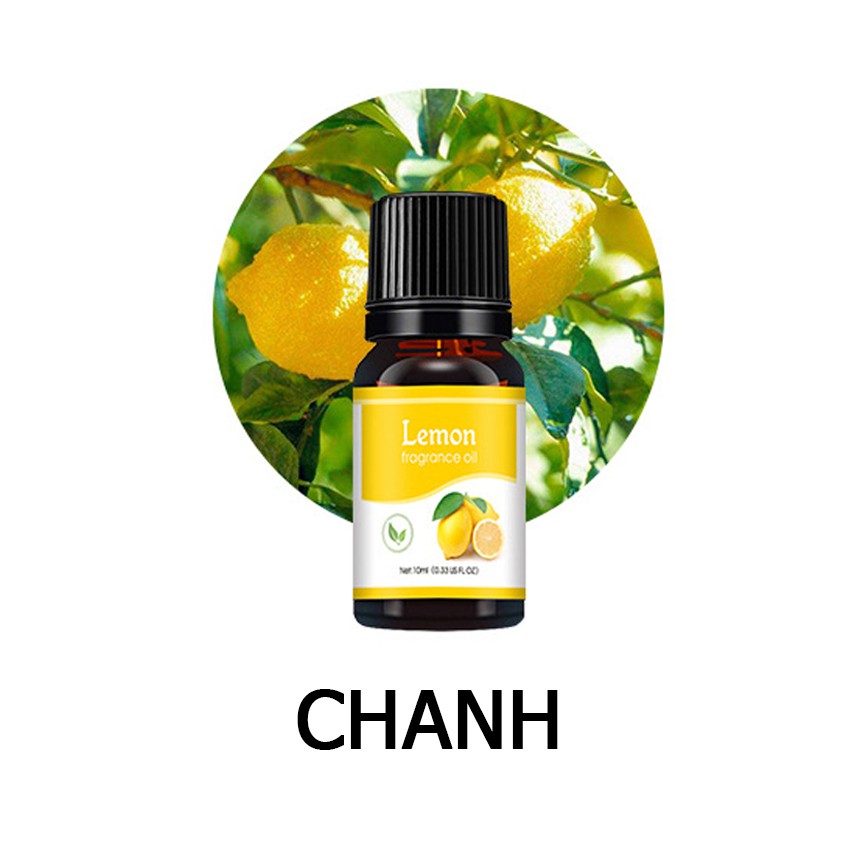 Tinh Dầu Thiên Nhiên Nguyên Chất Lọ 10ML