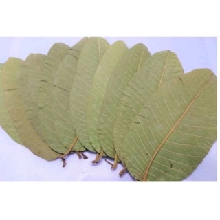 Lá Ổi Khô Giảm Cân