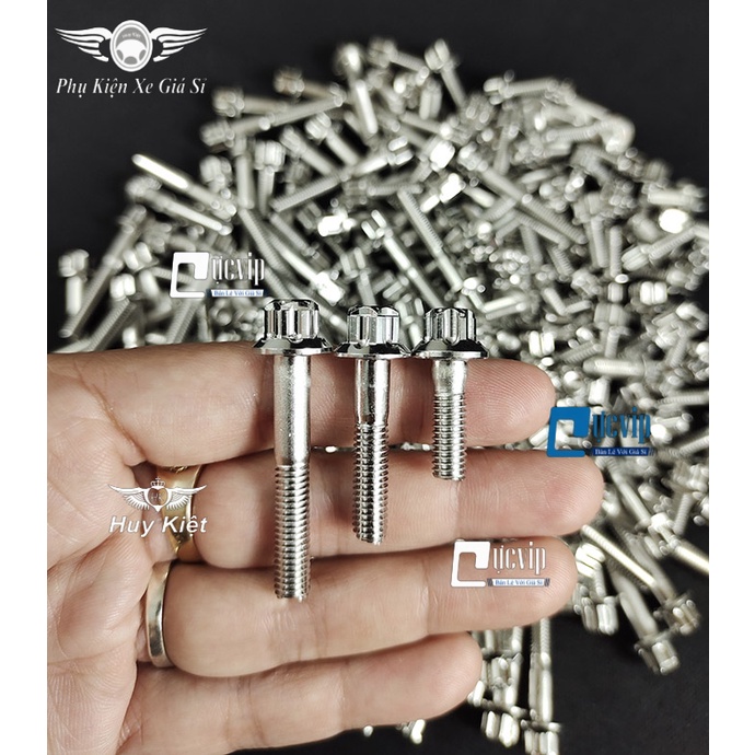 Ốc Salaya Inox 304 6li Chiều Dài Đầy Đủ Các Size